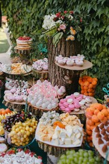 Candy bar decorated with fruit, green background.