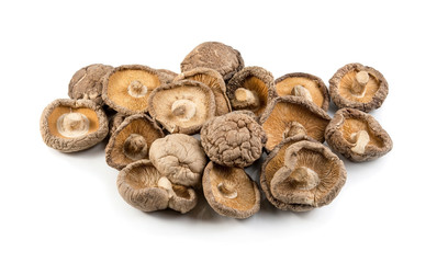 mushroom