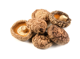 mushroom
