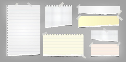 Colorful and white ripped notebook paper, torn note paper strips stuck on grey background. Vector illustration