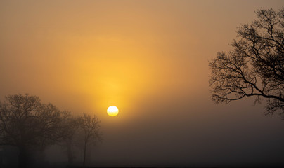 Fototapeta na wymiar A Misty Sun