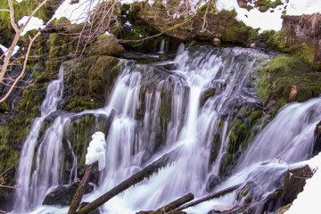 close up spring of river Bistrica