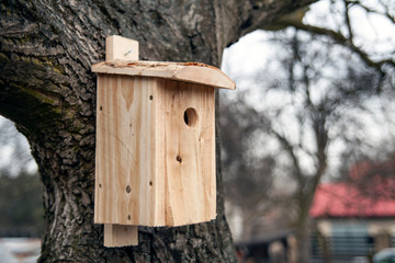 Shed for birds on trees. Wooden birdhouse on the tree.