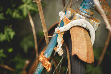 Detail of an abandoned old vintage rusty bicycle with ivy on the background found in rural shed in the Italian countryside.