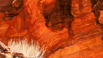 pattern in australian red rocks
