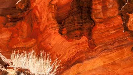 Fotobehang Baksteen pattern in australian red rocks  © meyblume