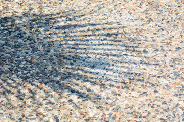 Shadow from branch of palm tree on the road.