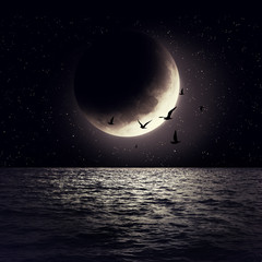 moon
