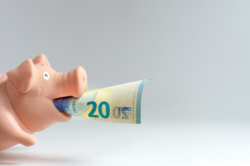 Pink funny pig with euro banknote in the mouth on the white background with copy space. EU economic...