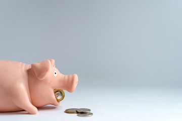 Pink piggy bank with pound sterling -  quid on the white background with copy space. Savings...