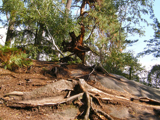 Mountain landscape. Bohemian Paradise. Czech. Europe