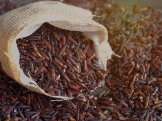 Raw rice berry a lot of vitamin cost price