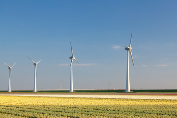 Wind farm