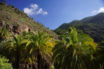 Fototapeta na wymiar Gran Canaria - Mountains