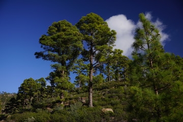 Gran Canaria - Mountains