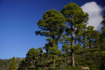 Gran Canaria - Mountains
