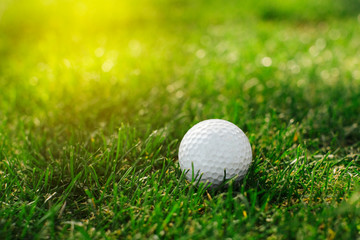 A golf ball with a number one on its side lies on the grass