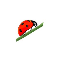 Red ladybug sitting on a green branch, side view