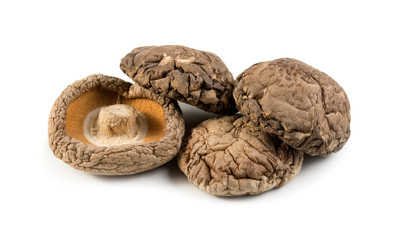 mushroom