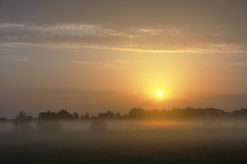 Fototapeta na wymiar Wonderful spring dawn with morning fog and rustic pastures on the background of a beautiful warm sky, green fragrant grass and young leaves on trees