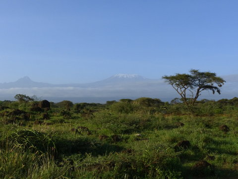 Kenia & Tansania