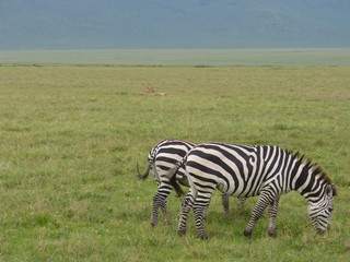 Fototapeta na wymiar Kenia & Tansania