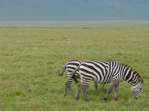Kenia & Tansania