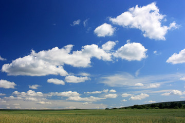 White clouds over the green field