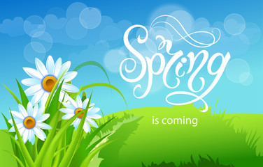 Obraz premium Spring time. Handwritten calligraphy lettering with grass background. Vector image.
