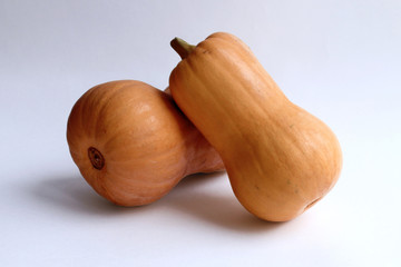 Pumpkins. Two orange long pumpkins.