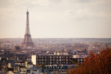 Fototapeta na wymiar View of Paris and Eifel tower from 20th district