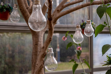 bulb light trees