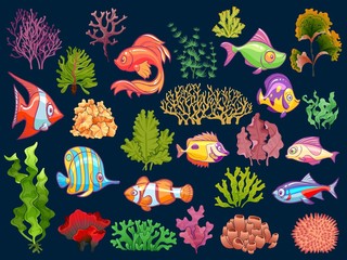 Cute kid underwater set. Aquarium baby fish and seaweed in water for children isolated vector collection