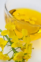 Rapeseed oil and  blossoms