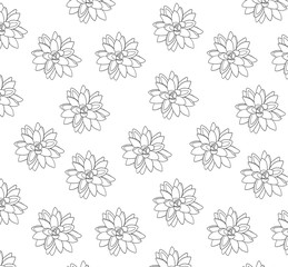 Succulents pattern on white background