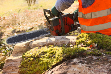 Man cutting tree trunk with a chainsaw