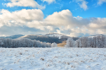   Did you mean: Iarna în Munţii Apuseni - Transilvania, Romania 47/5000 Winter in Apuseni Mountains - Transylvania, Romania Send feedback History Saved Community