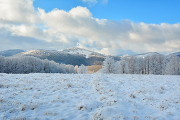   Did you mean: Iarna &icirc;n Munţii Apuseni - Transilvania, Romania 47/5000 Winter in Apuseni Mountains - Transylvania, Romania Send feedback History Saved Community