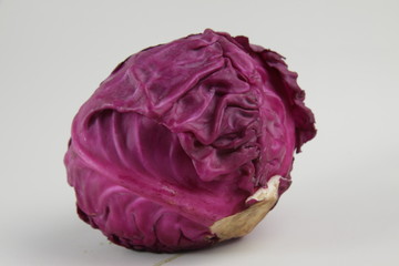 Fototapeta premium a purple cabbage