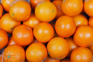 Lots of organic oranges