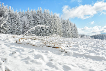   Did you mean: Iarna în Munţii Apuseni - Transilvania, Romania 47/5000 Winter in Apuseni Mountains - Transylvania, Romania Send feedback History Saved Community