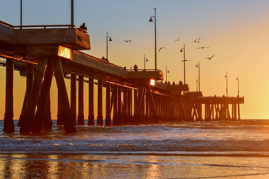 Sunset over Venice Beach Pier in Los Angeles, California - Birds