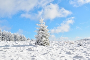   Did you mean: Iarna în Munţii Apuseni - Transilvania, Romania 47/5000 Winter in Apuseni Mountains - Transylvania, Romania Send feedback History Saved Community
