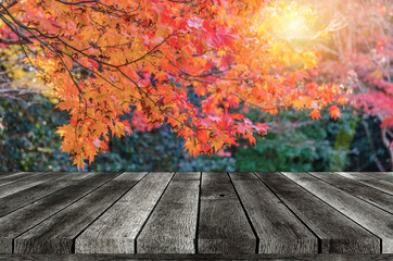 Naklejka na ściany i meble empty wooden board, table or modern wooden terrace with view red maple leaves with nature forest in autumn background, copy space for display of product, object presentation, advertising concept
