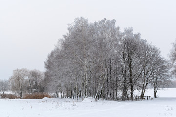 Fototapeta na wymiar Winter landscape. Winter weather snow is on the ground.