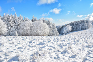   Did you mean: Iarna în Munţii Apuseni - Transilvania, Romania 47/5000 Winter in Apuseni Mountains - Transylvania, Romania Send feedback History Saved Community