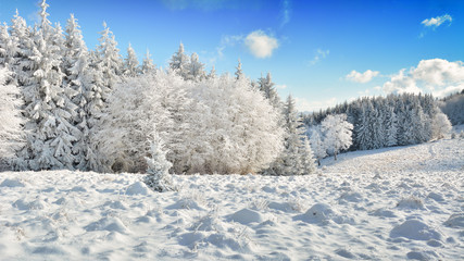   Did you mean: Iarna în Munţii Apuseni - Transilvania, Romania 47/5000 Winter in Apuseni Mountains - Transylvania, Romania Send feedback History Saved Community