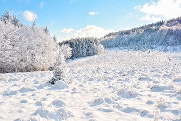   Did you mean: Iarna &icirc;n Munţii Apuseni - Transilvania, Romania 47/5000 Winter in Apuseni Mountains - Transylvania, Romania Send feedback History Saved Community