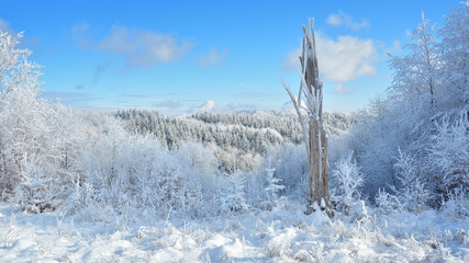   Did you mean: Iarna în Munţii Apuseni - Transilvania, Romania 47/5000 Winter in Apuseni...