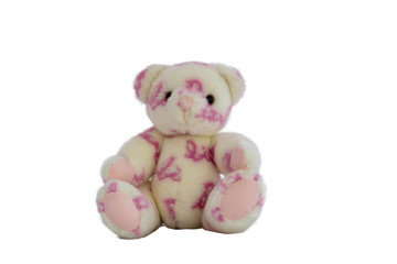  teddy bear sitting isolated on white background